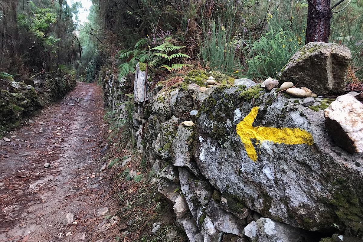 Gelber Pfeil zeigt die Richtung auf dem Jakobsweg